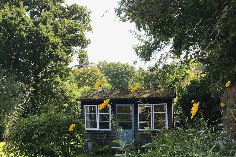 Photo of Outdoor in New Forest District