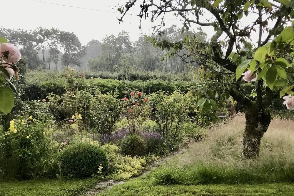 Photo of Outdoor in New Forest District