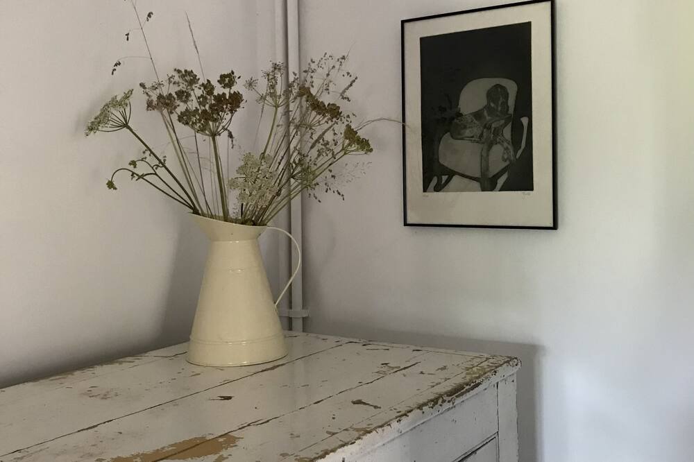 Photo of Others in New Forest District