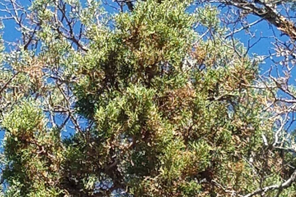 Photo of Others in Crooked River Ranch