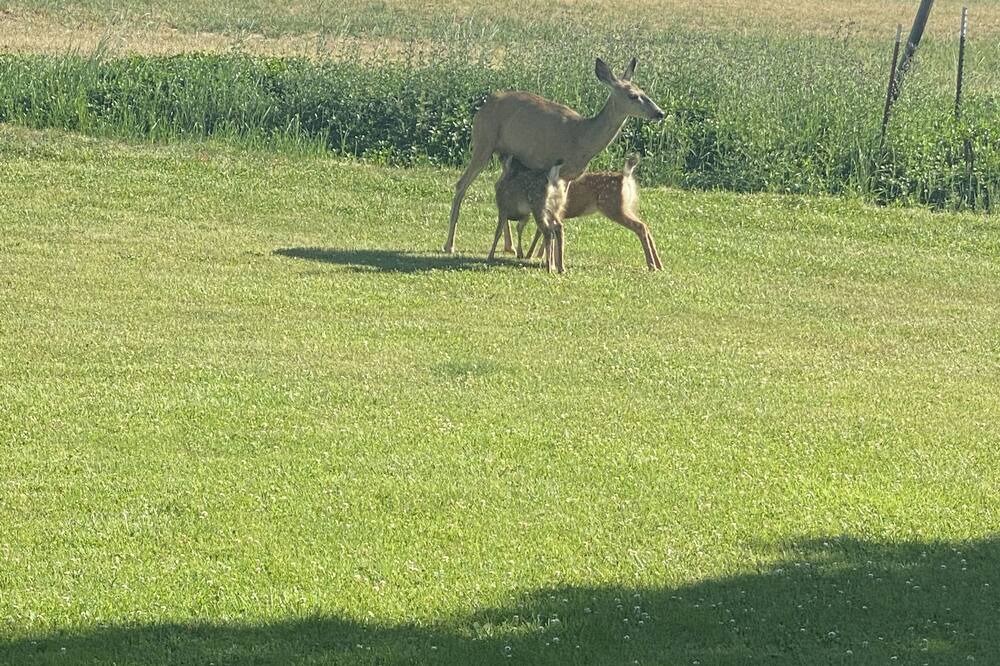 Photo of Others in Crooked River Ranch