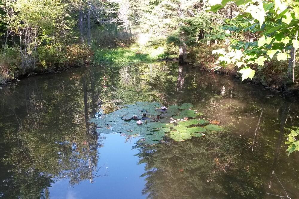 Photo of Outdoor in Frontenac