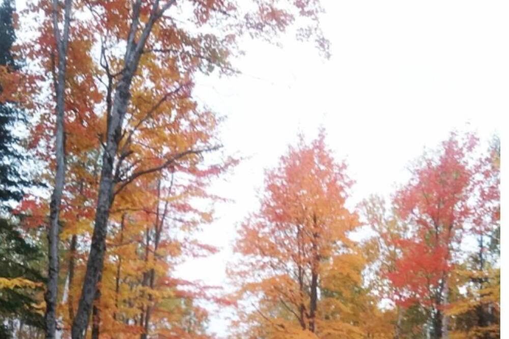Photo of Outdoor in Frontenac