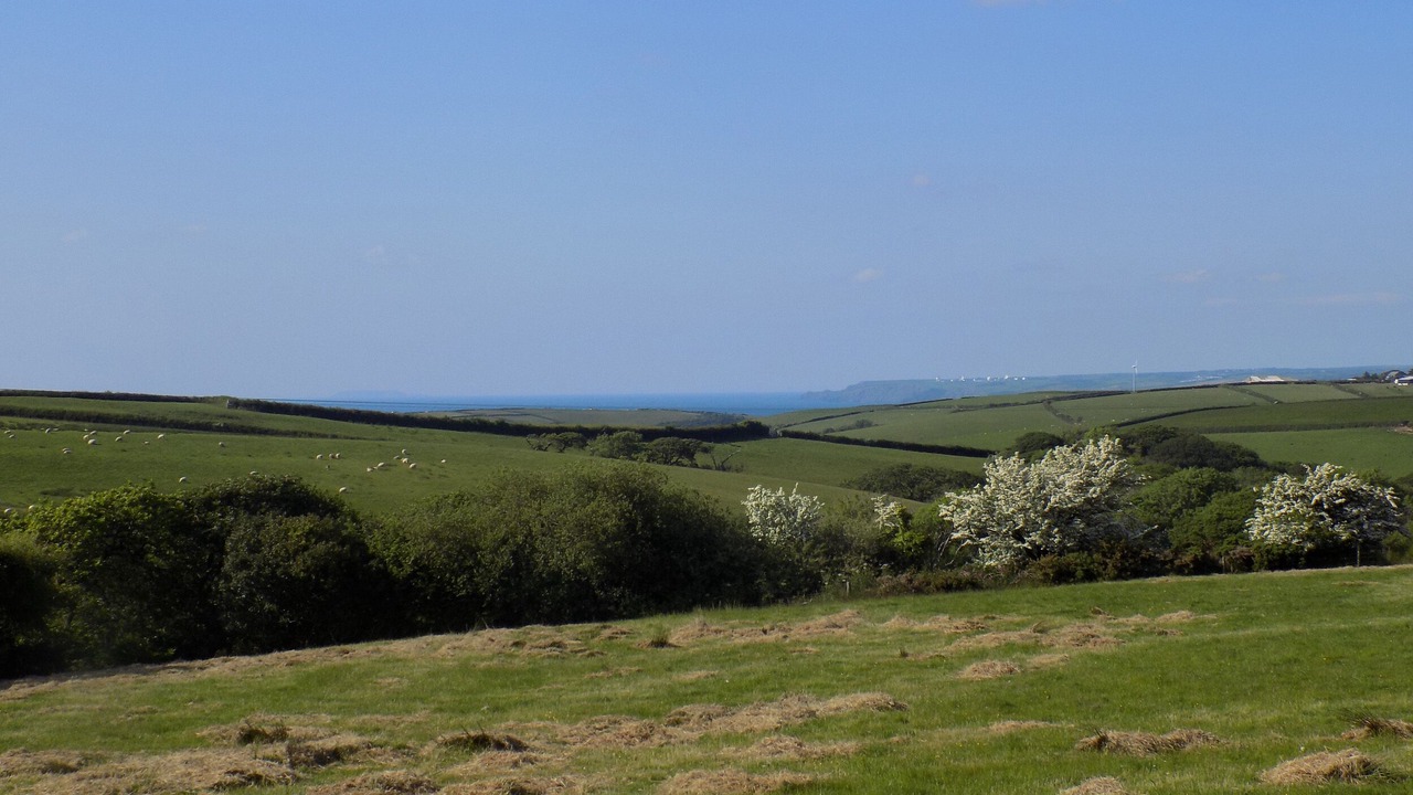 Photo of Others in Wainhouse Corner