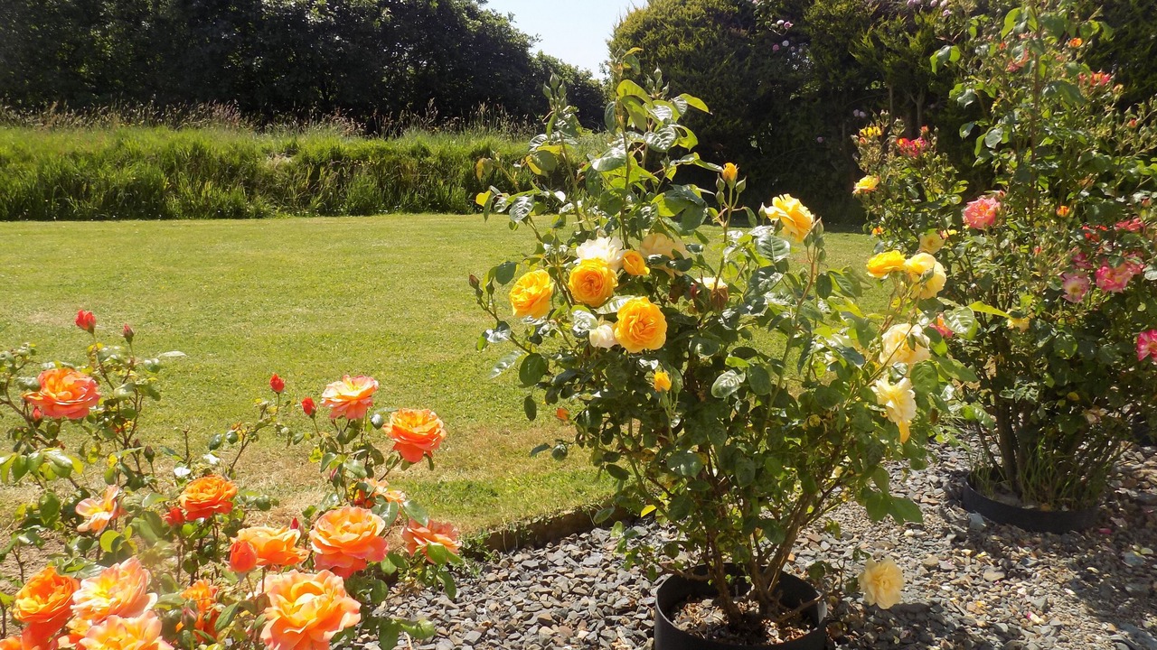 Photo of Others in Wainhouse Corner