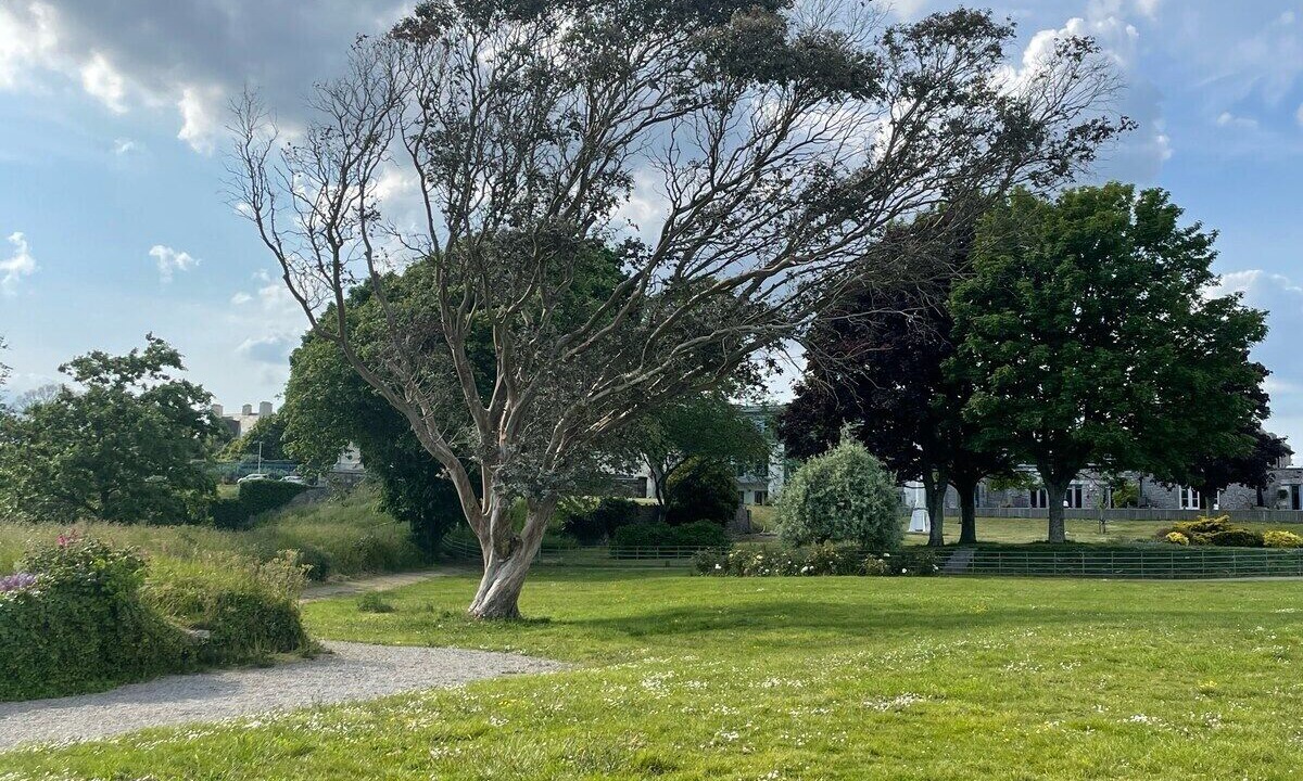 Photo of Others in Devonport