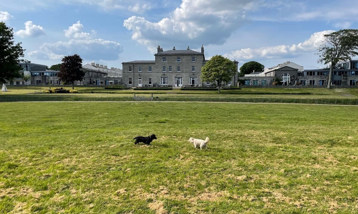 Photo of Others in Devonport