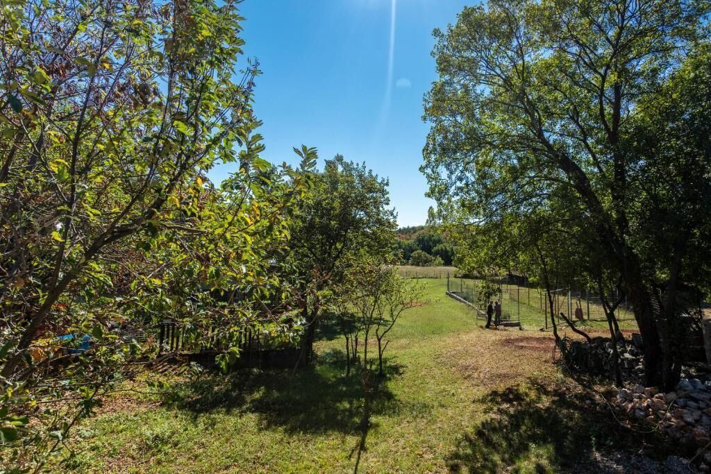 Photo of Outdoor in Sarsoni