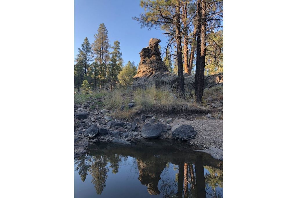 Photo of Outdoor in Parks