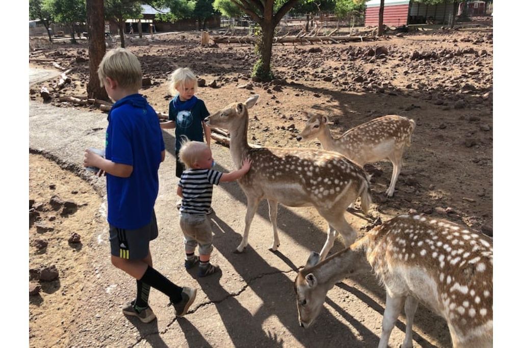 Photo of Others in Parks