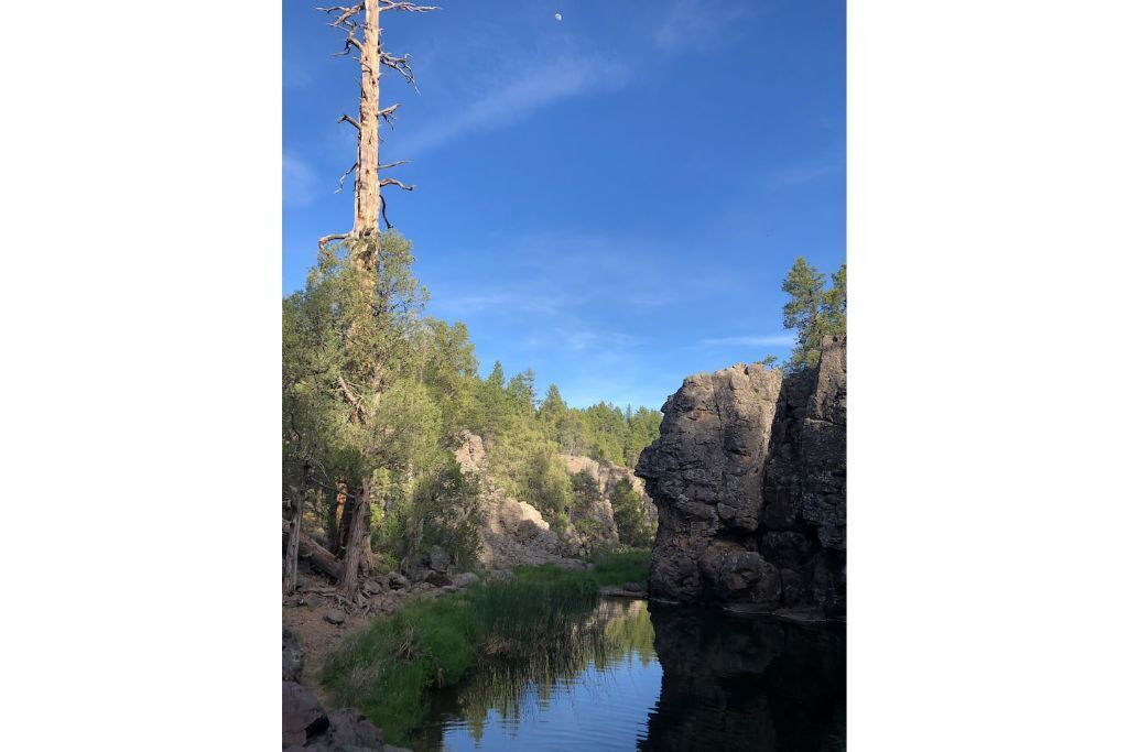 Photo of Outdoor in Parks
