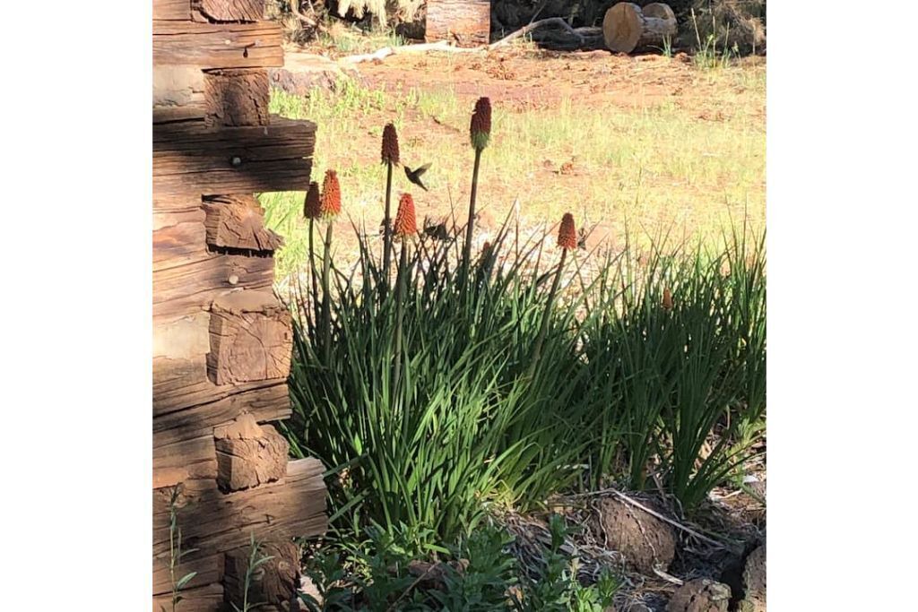 Photo of Outdoor in Parks