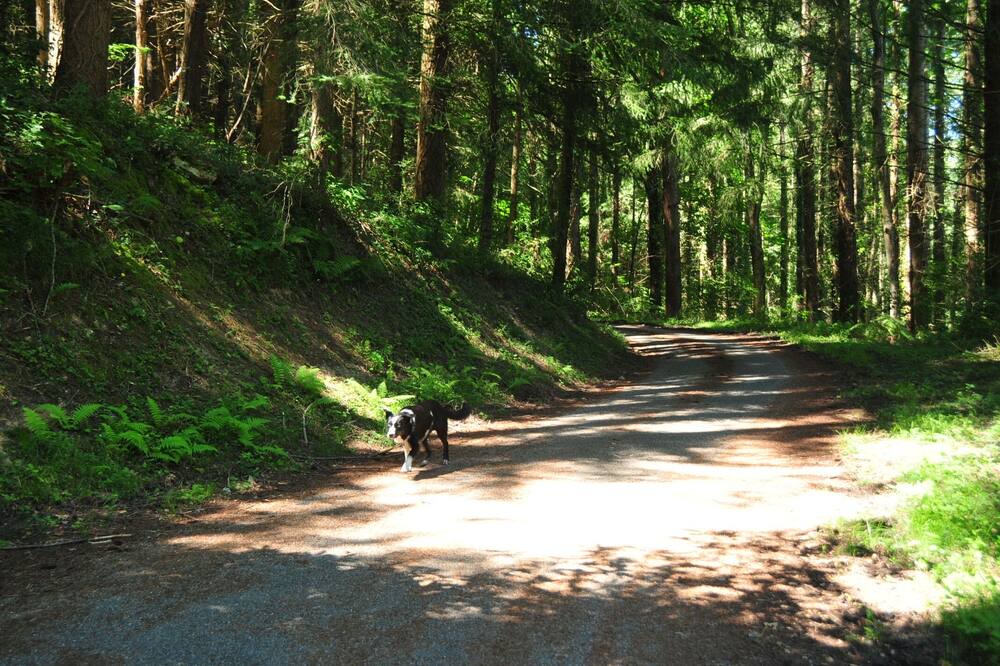 Photo of Outdoor in Montels