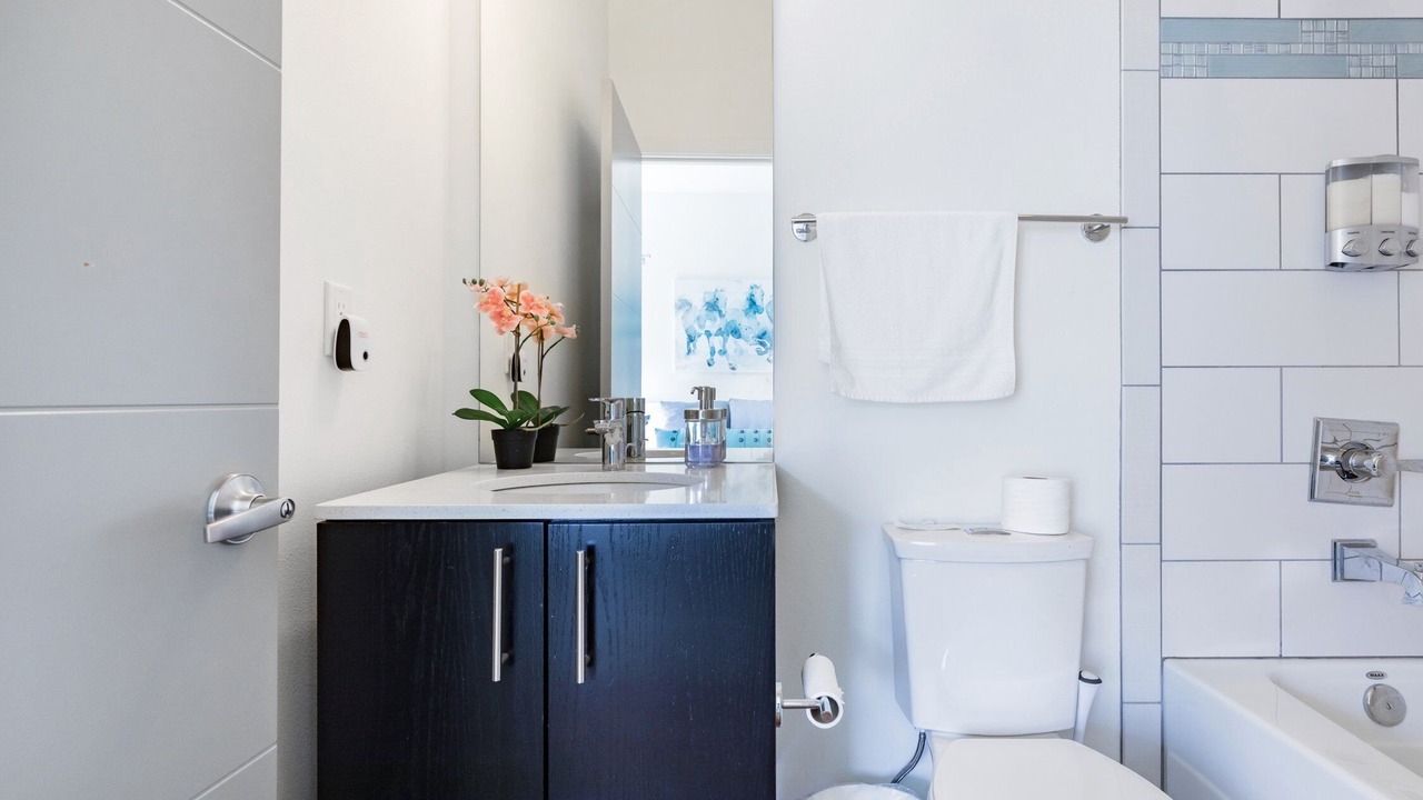 Photo of Others in North Beacon Hill