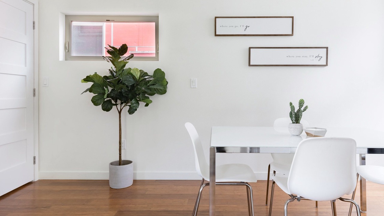 Photo of Others in North Beacon Hill