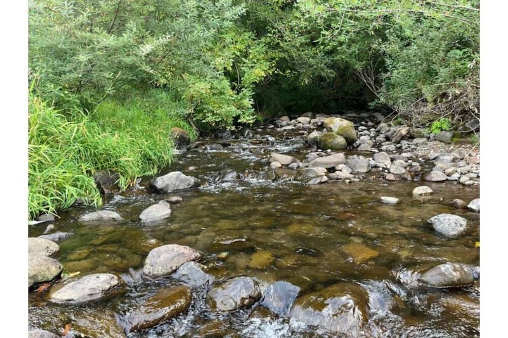 Photo of Outdoor in Leaburg