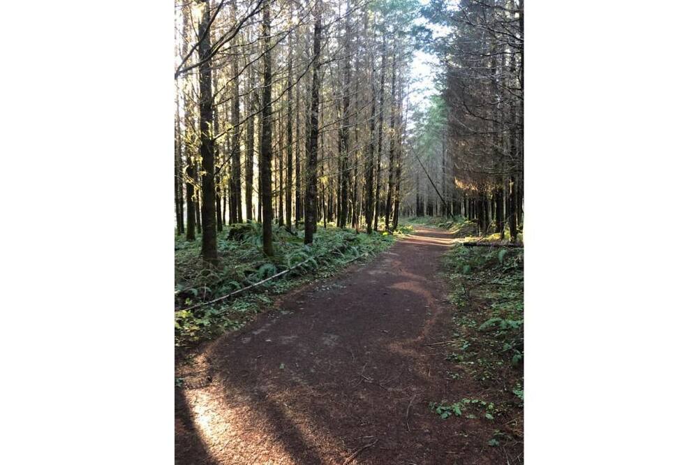 Photo of Others in Leaburg