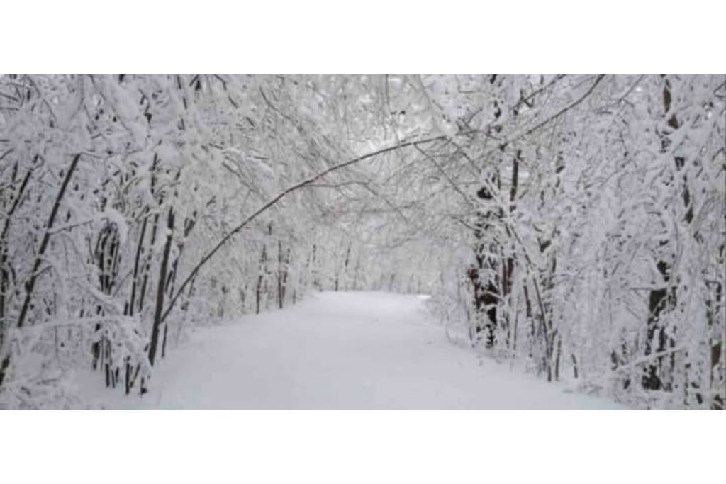 Photo of Others in Orillia