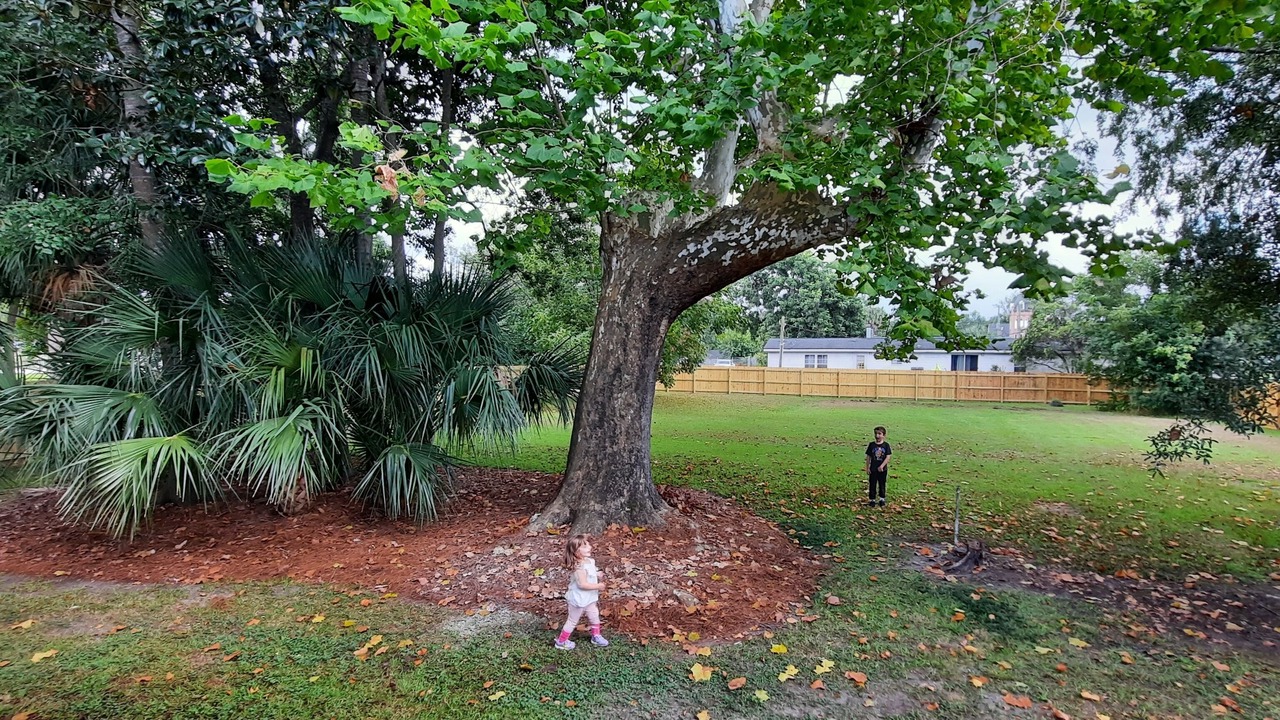 Photo of Outdoor in Branchville