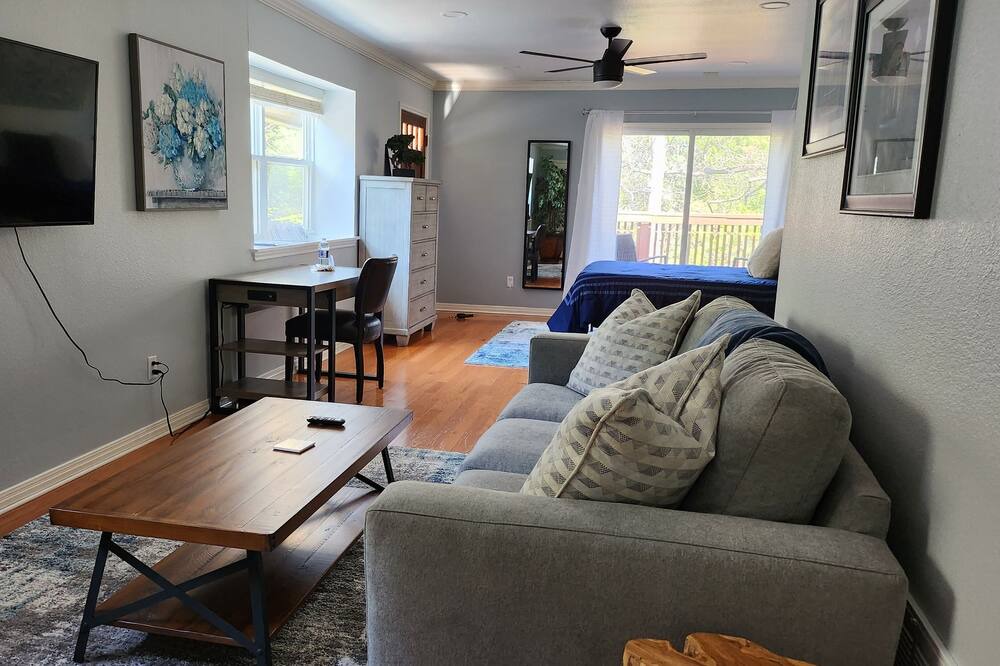 Photo of Livingroom in Travis Heights