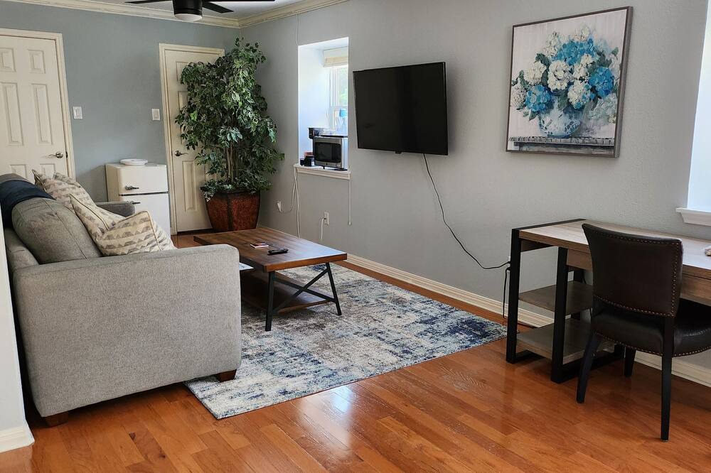 Photo of Livingroom in Travis Heights
