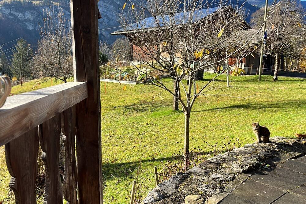 Photo of Outdoor in Wiler