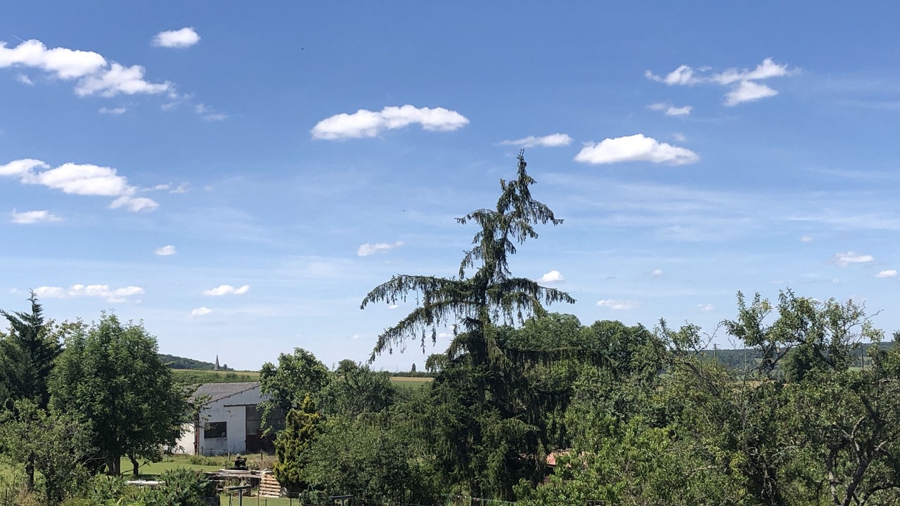 Photo of Outdoor in Tannay