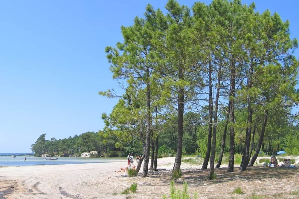 Photo of Others in Sanguinet