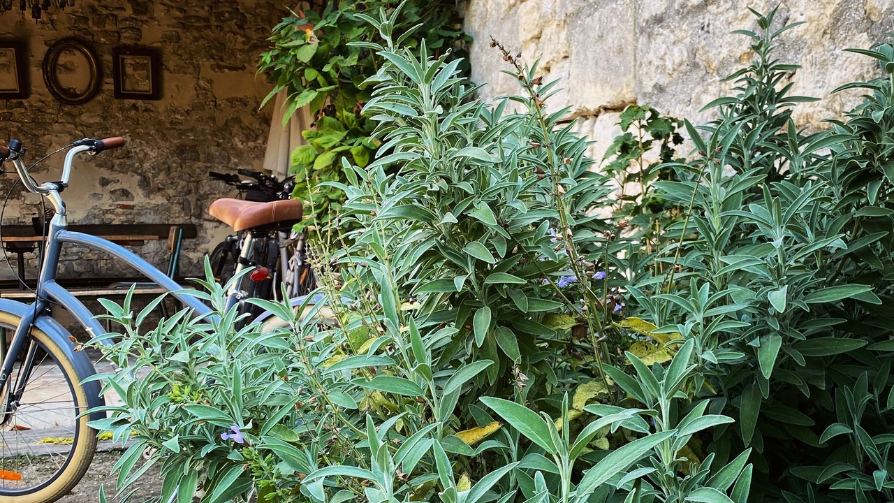 Photo of Outdoor in Senlis