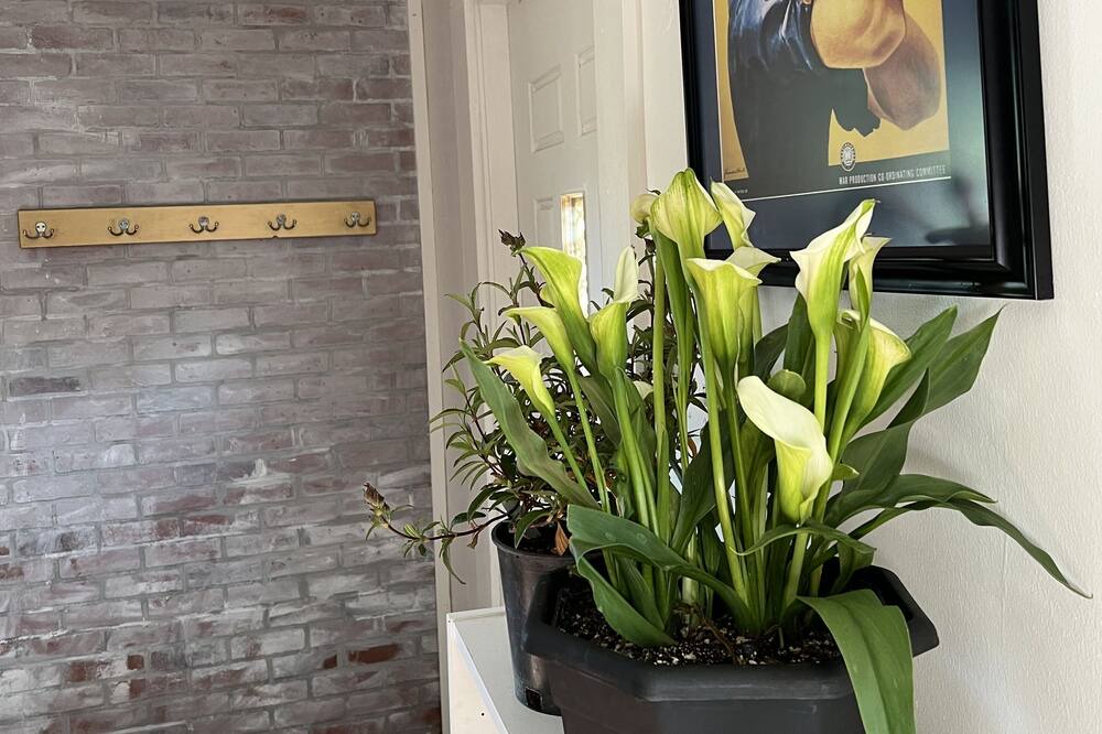 Photo of Others in Boonville