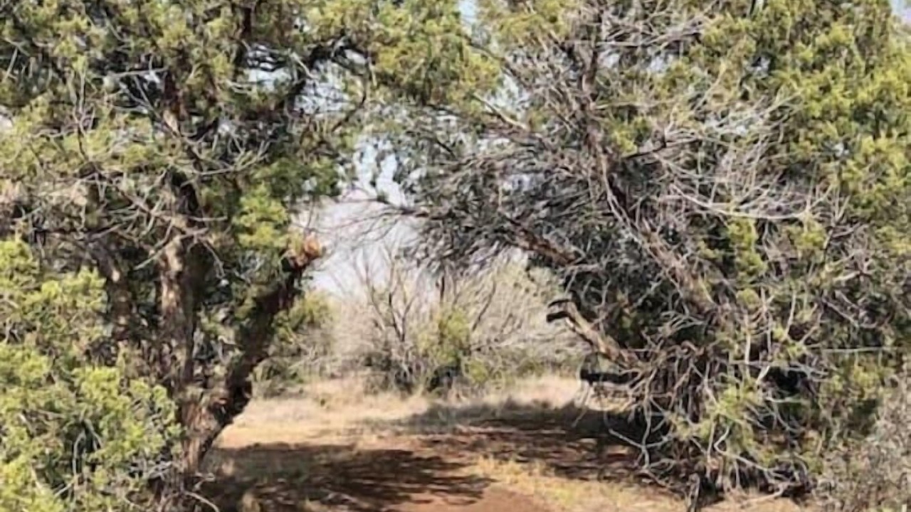Photo of Outdoor in Alpine