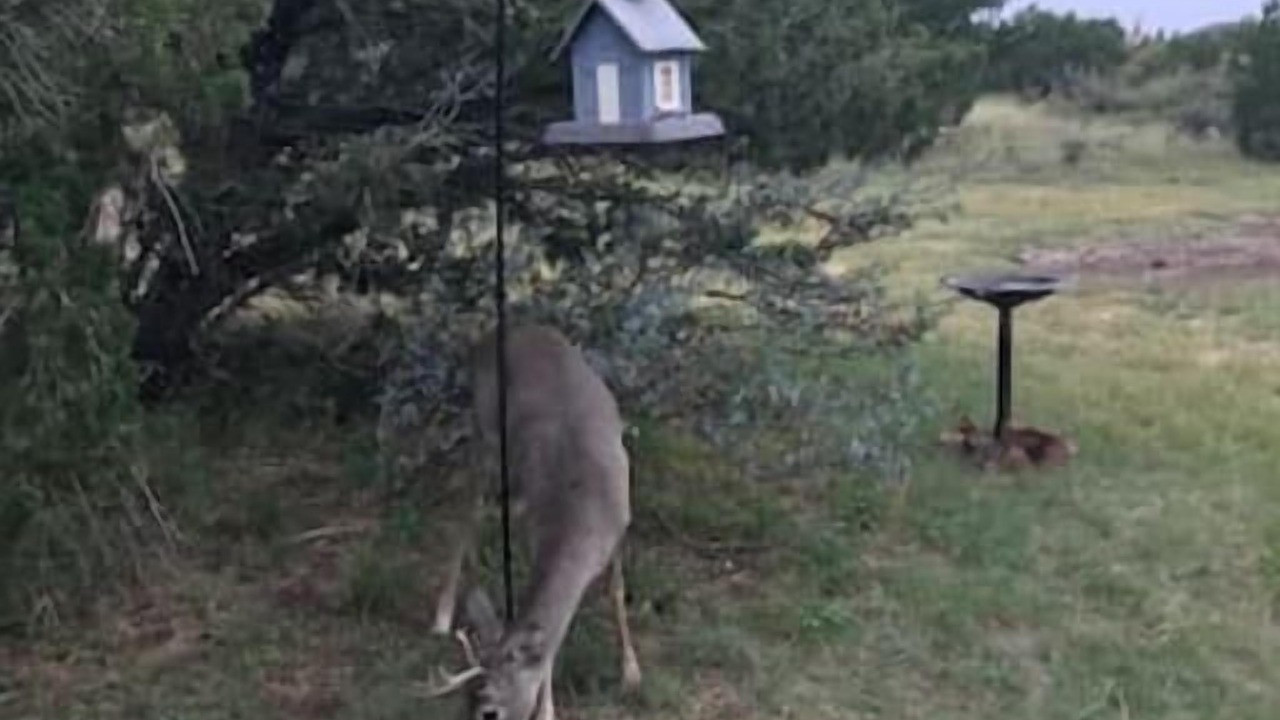 Photo of Outdoor in Alpine