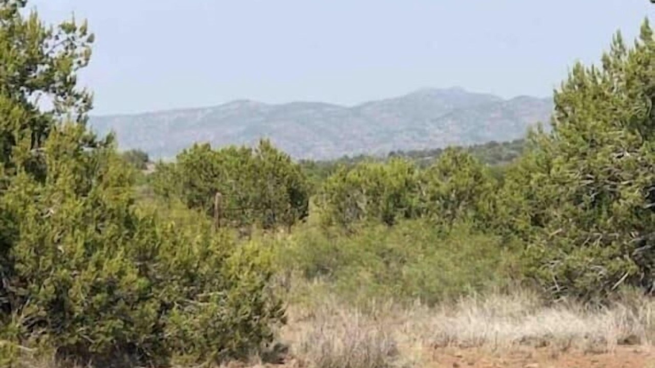 Photo of Outdoor in Alpine