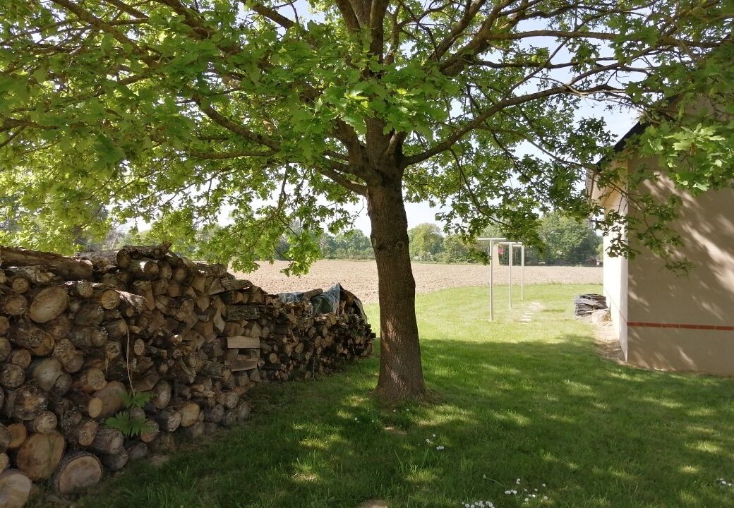 Photo of Outdoor in Dinge