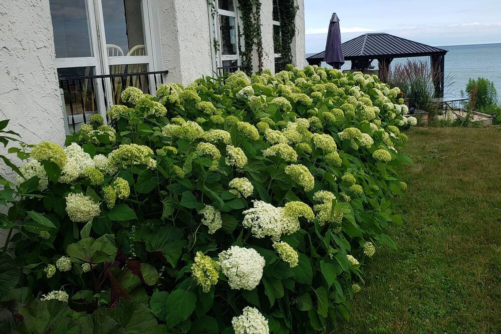 Photo of Outdoor in Cobourg