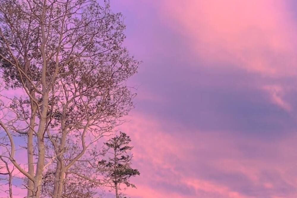Photo of Outdoor in Summerville Centre