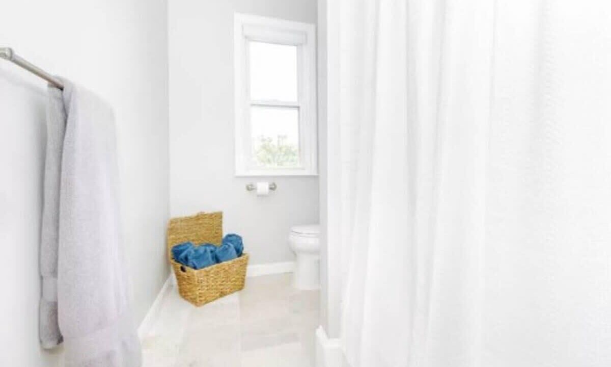 Photo of Others in Dorchester