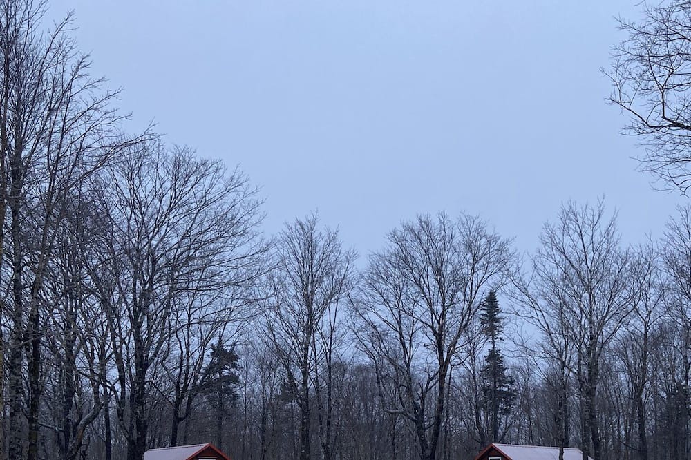 Photo of Outdoor in Amherst