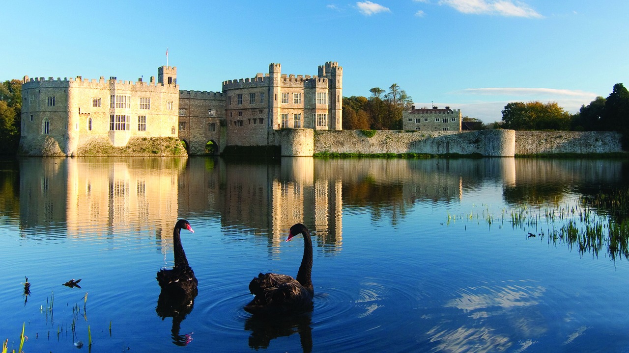 Photo of Outdoor in Maidstone