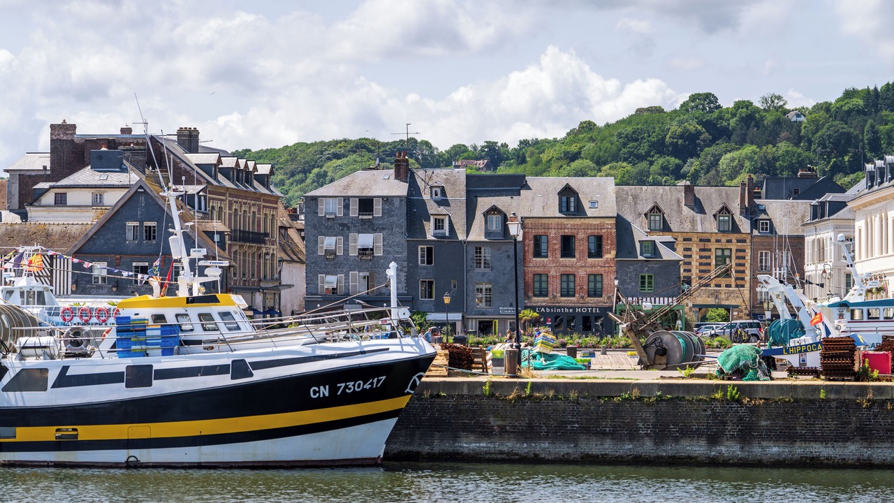 Photo of Outdoor in Enclos