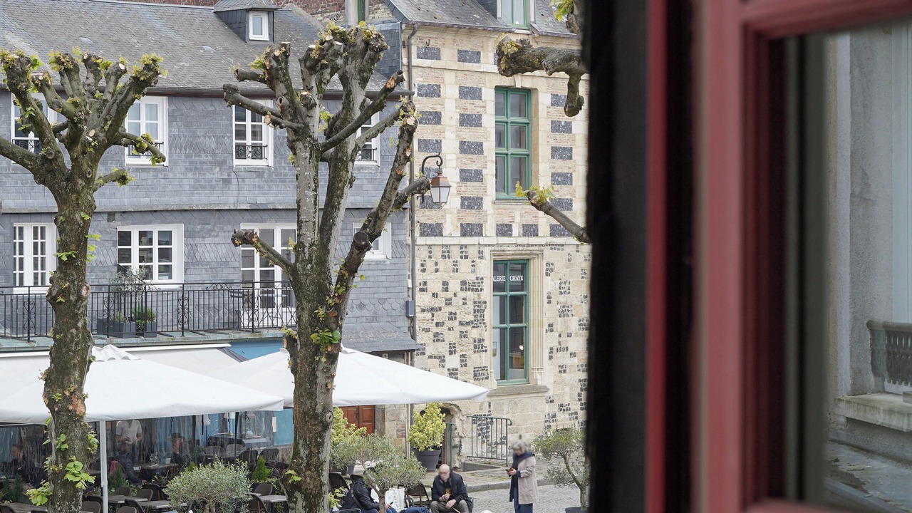 Photo of Others in Enclos