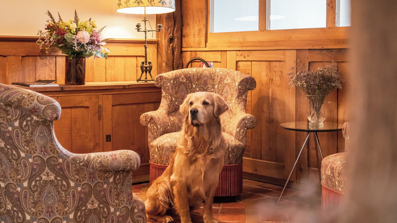 Photo of Others in Enclos