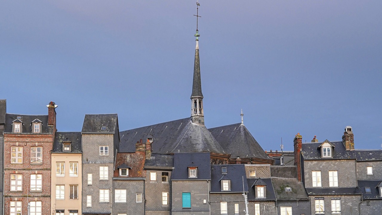 Photo of Outdoor in Enclos