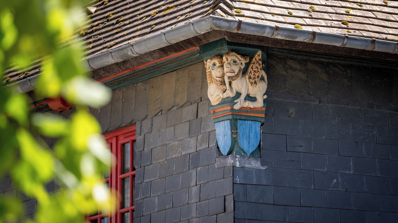 Photo of Outdoor in Enclos