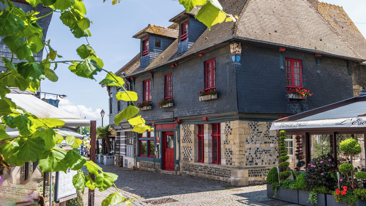 Photo of Outdoor in Enclos