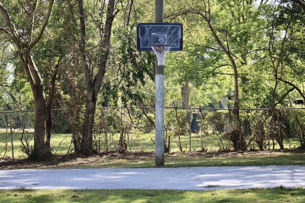 Photo of Others in Lyons