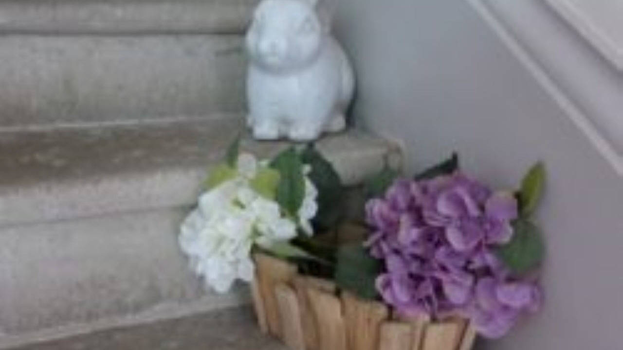 Photo of Others in Riverie