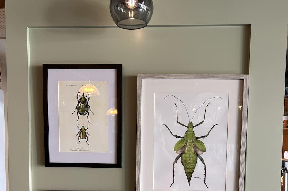 Photo of Others in Waterlooville