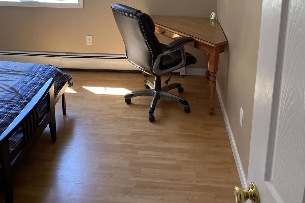 Photo of Others in Malletts Bay