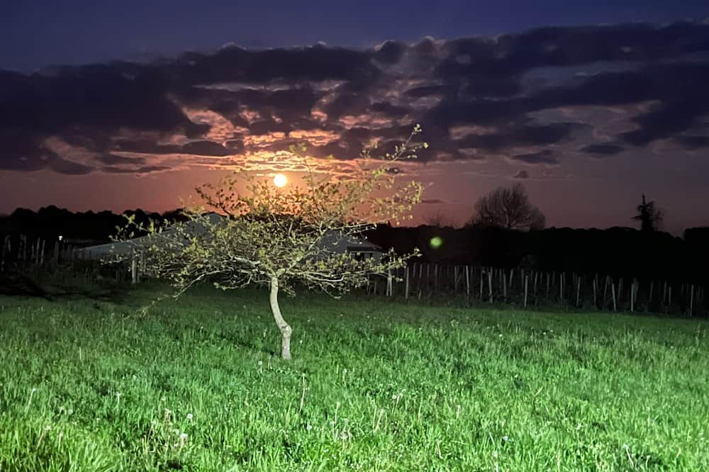 Photo of Outdoor in Blasimon